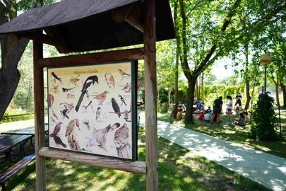 Actividad ornitológica familiar en el Centro de Naturaleza Dehesa Boyal de Sanse