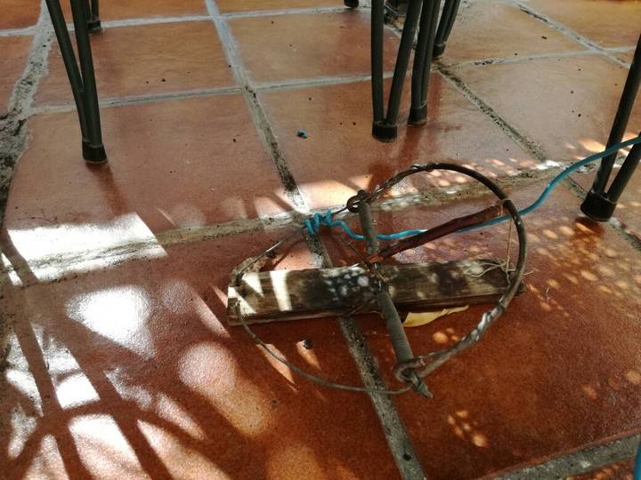 Imagen del cepo puesto por una vecina de Sanse en su vivienda de la calle San Roque