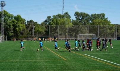 Finalizan la reposición de césped en nueve campos de Futbol