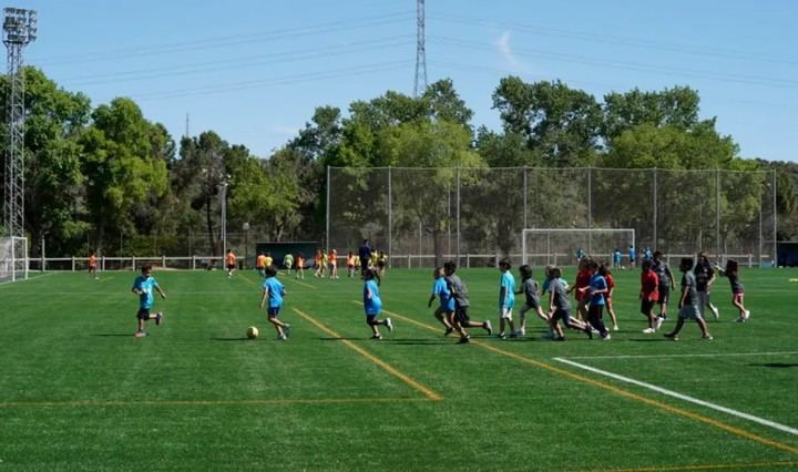 Finalizan la reposición de césped en nueve campos de Futbol