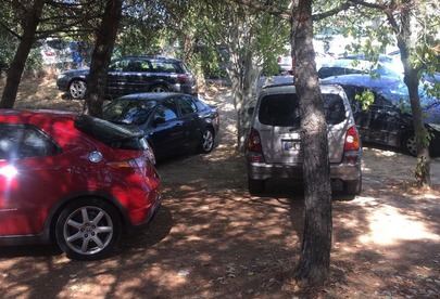 Los coches de las empresas del Arroyo de la Vega ya aparcan hasta en las zonas verdes del Soto