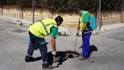 Campaña Municipal de Desratización y Desinsectación en el Soto