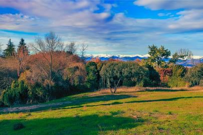 Venta Parcela de 10.000m2 en Urbanización la Moraleja