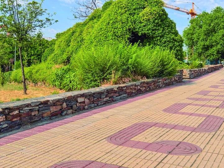 Campaña de desbroce en 34 parcelas municipales para mitigar riesgos de incendios en Alcobendas