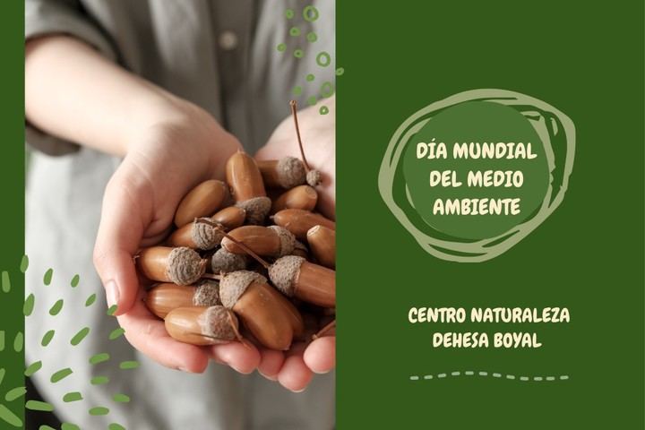 El Centro Dehesa Boyal de Sanse organiza actividades por el Día Mundial del Medio Ambiente