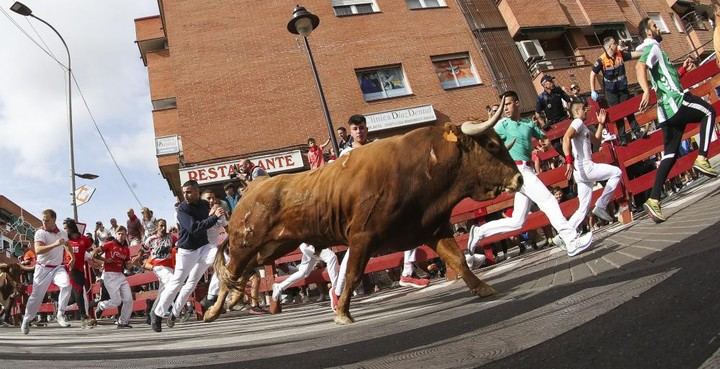 Velocidad y tensión en el sexto encierro con toros de Pinto Barreirosen