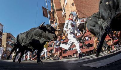 Habrá siete encierros, incluyendo uno nocturno, si el gobierno de la Comunidad de Madrid lo aprueba.