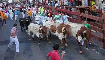 Encierros en San Sebastián de los Reyes (2º día)