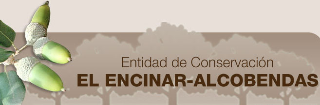 Suspendida la Asamblea de la Entidad del Encinar de los Reyes por falta de espacio