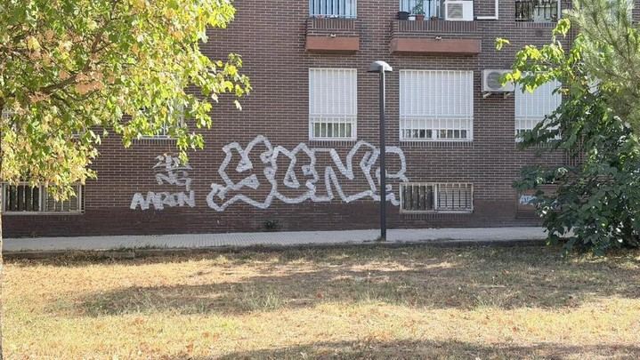Policía Loca lde Sanse denuncia a dos grafiteros