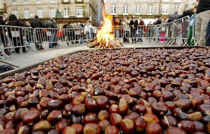 La Xuntanza de gallegos celebra la fiesta del Magosto en La Esfera de Alcobendas