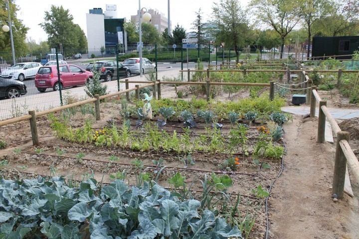 Imagen del Huerto Urbano familiar del Arroyo de la Vega, situado en el número 8 de la Avenida de Ermita. 