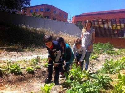 Novedades en la puesta en marcha de lo Huertos escolares en Sanse