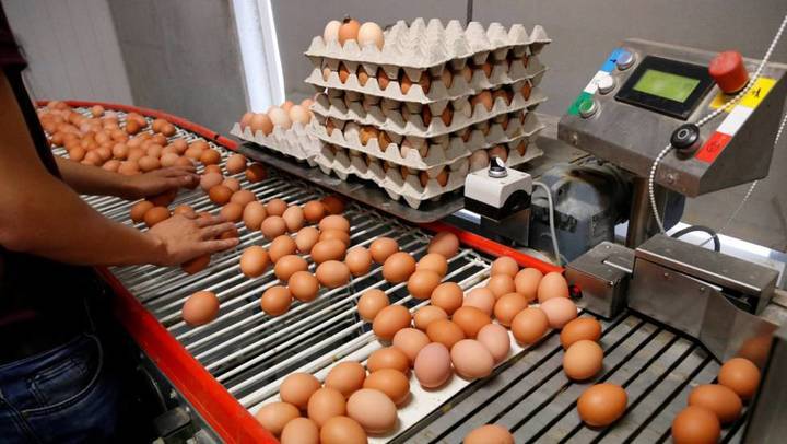 La Policía Local de Alcobendas controlará la compra masiva de huevos en Halloween