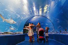 Entradas especiales para Atlantis Aquarium los días 15 y 16 de noviembre para vecinos de Sanse
