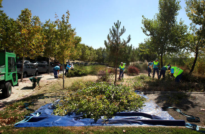 Imagen del Jardín de La Vega con operarios del Ayuntamiento realizando una operación de Desbrozamiento