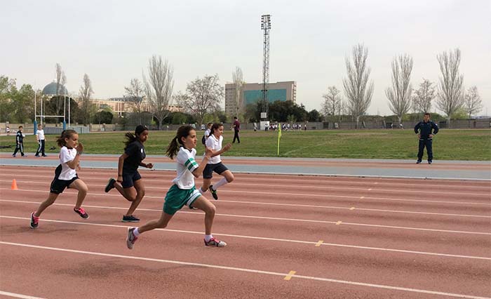 V Juegos Deportivos Cicae en el Polideportivo Municipal José Caballero de Alcobendas