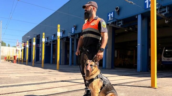 Inversión de 5,2 millones en seguridad del Metro: 40 perros de vigilancia para cocheras y depósitos
