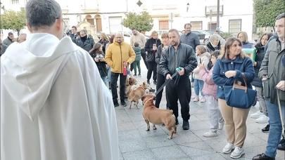 Alcobendas rinde homenaje a las mascotas por San Antón