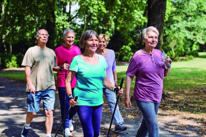 Actividades de verano para personas mayores en Alcobendas