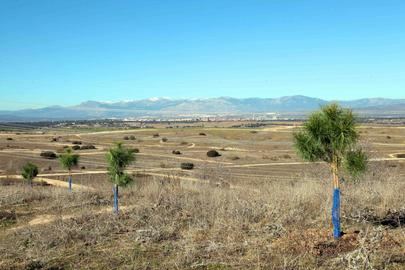 Yincana para conocer el Parque Forestal Fuente Lucha Nodo de Hábitats