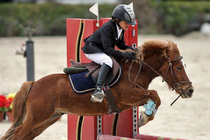 Concurso Nacional de Ponis en el Club Hípica La Moraleja