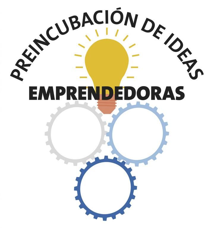 El programa de preincubación de ideas emprendedoras, On-line