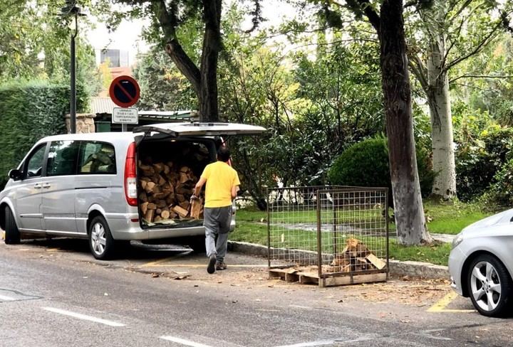 Reparto de leña en el Soto de La Moraleja: Descubre cómo conseguirla