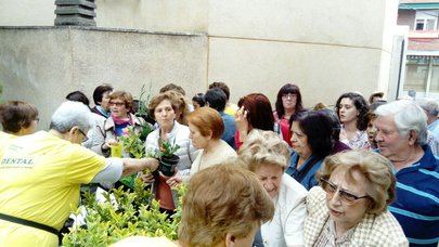 Sanse reparte mañana 2.000 plantas en el patio del edificio El Caserón