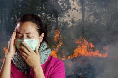 El fuego no da tregua: qué hacer para sobrevivir a un incendio forestal