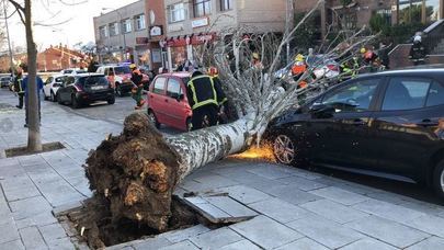 Alerta Roja por rachas de viento en Alcobendas y San Sebastián de los Reyes