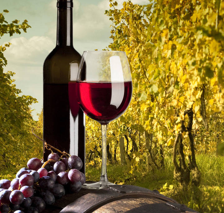 Conoce la Ruta del vino de Yecla
