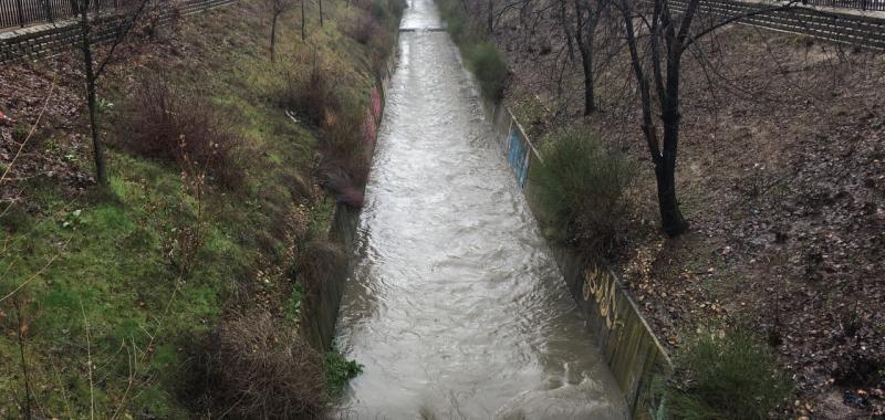 Arroyo de la Vega