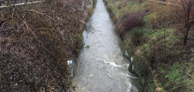 Arroyo de la Vega